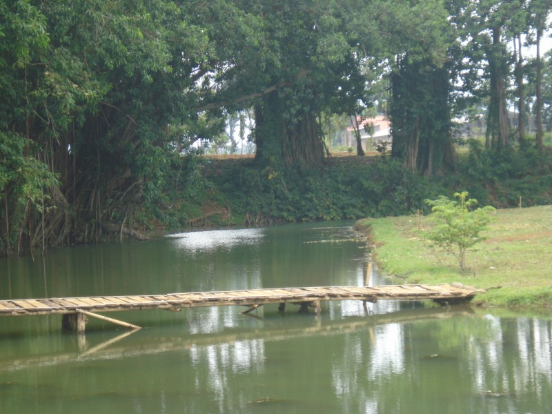 ExOTIC OF JePARA: TELAGA SEJUTA AKAR
